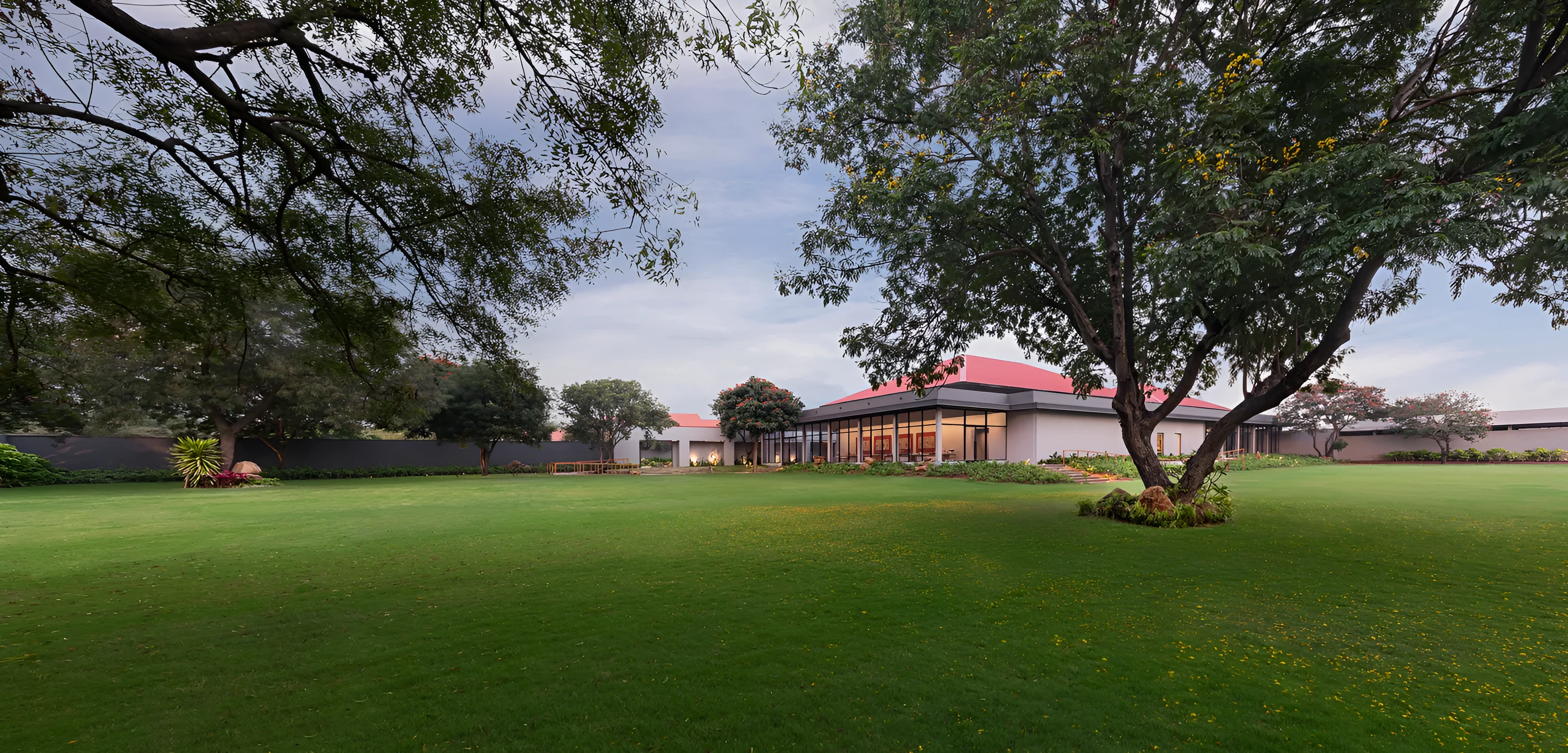 Cassia Lawn